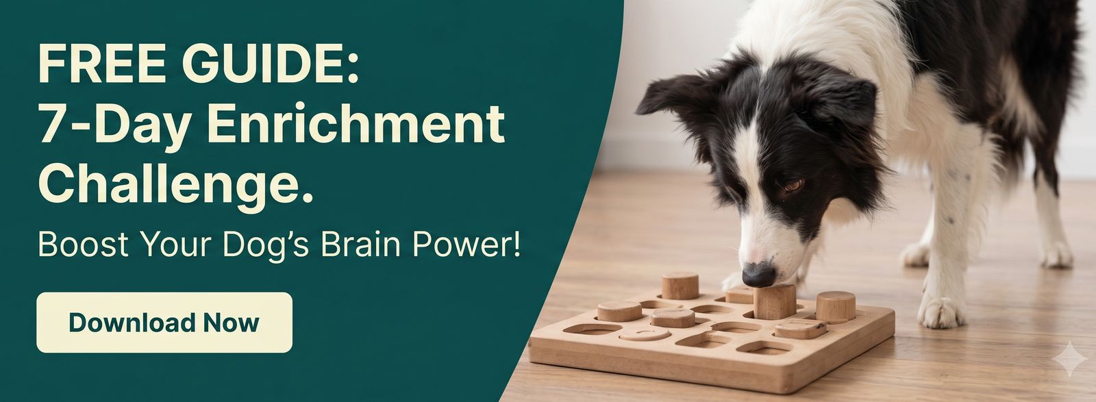 Free guide: the 7-Day Enrichment Challenge — boost your dog's brain power
